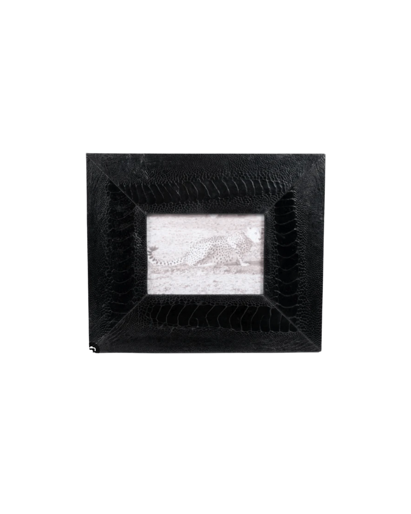 Snake Skin Ngala Frame 4X6 - Black