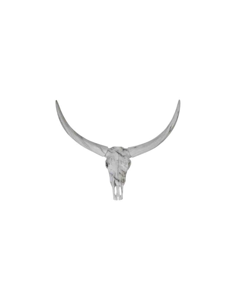 Resin Longhorn Wall Art - White
