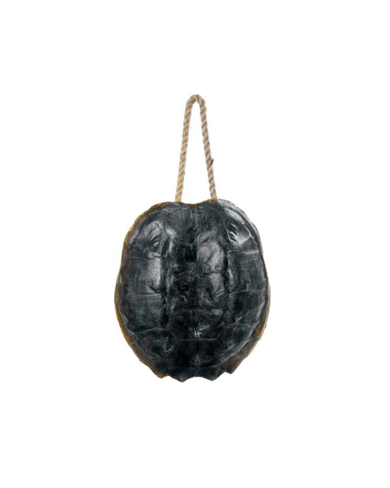 Turtle Shell - Black