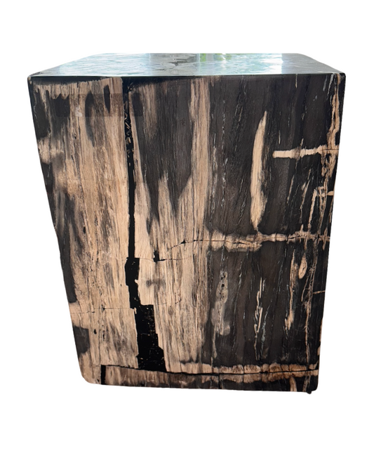Petrified End Table, Square - Dark Wood