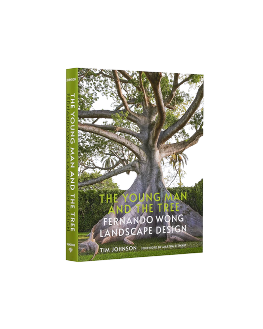 The Young Man And The Tree Book - Green