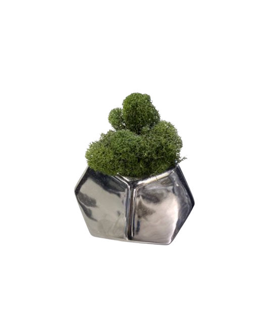 Honeycomb Small Planter with Moss - Silver