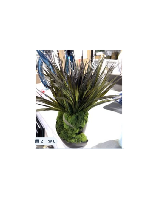 Black and Copper Curl Container Grass - Black