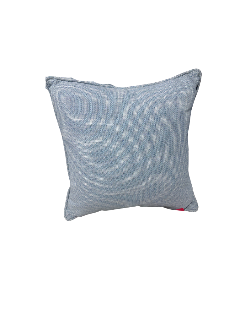 20 X 20 Custom Outdoor Pillow - Light Blue