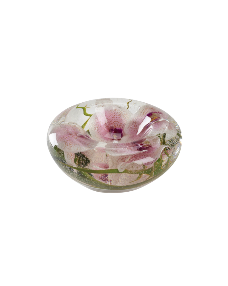 Phael Orchids in Medium Puddle Vase - Pink