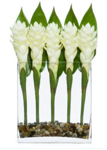 WHITE TORCH GINGER WATER