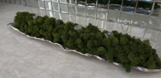 Silver tray Floral with Selenite Cubes - Green