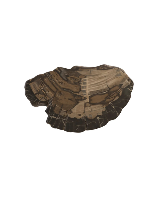 Resin Cast Petrified Wood Wall Art