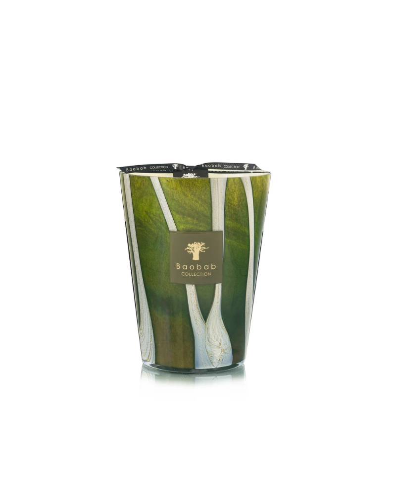 Baobab - Woods Sherwood